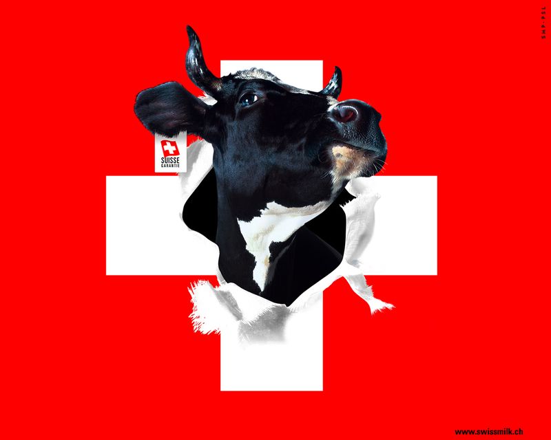 Drapeau-suisse vache