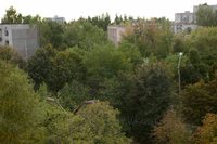 Tchernobyl_11